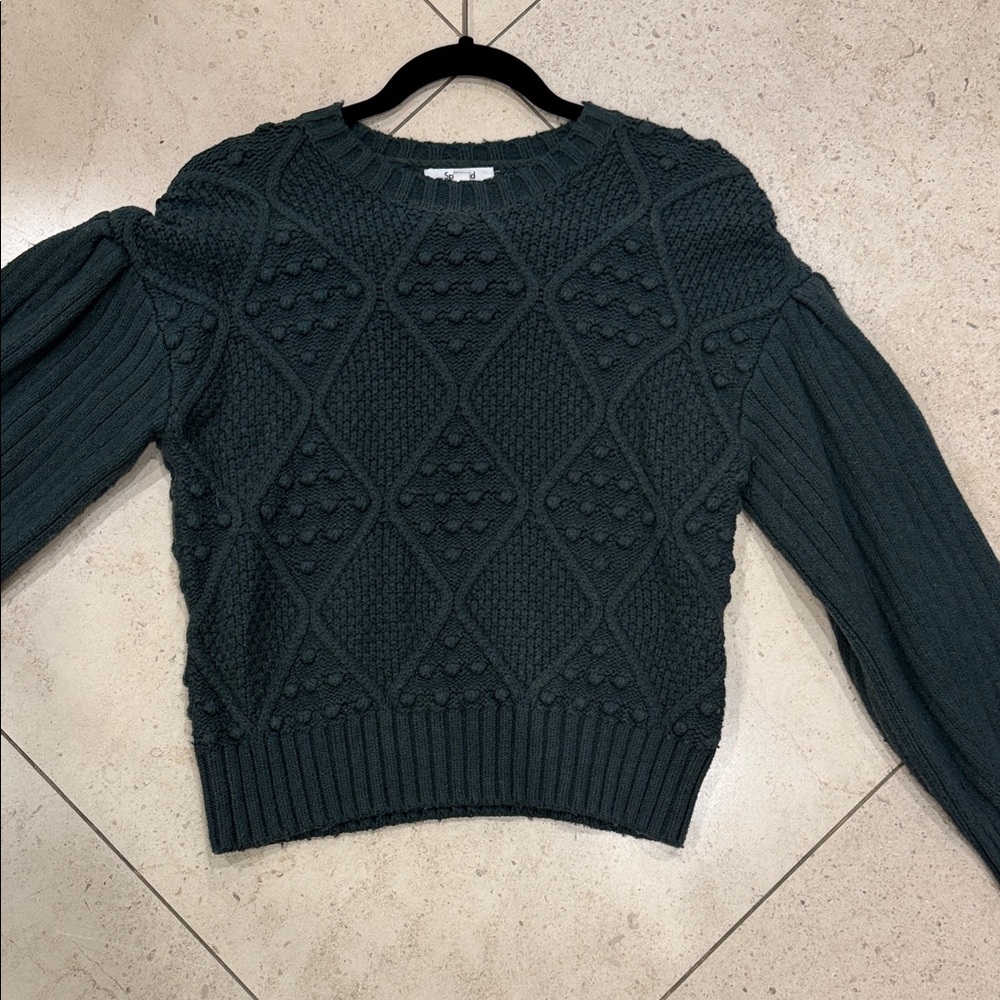 Splendid Textured Knit Sweater in Deep Green